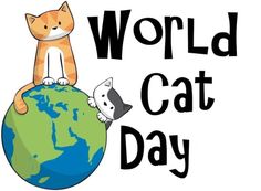 Hari Kucing Internasional1